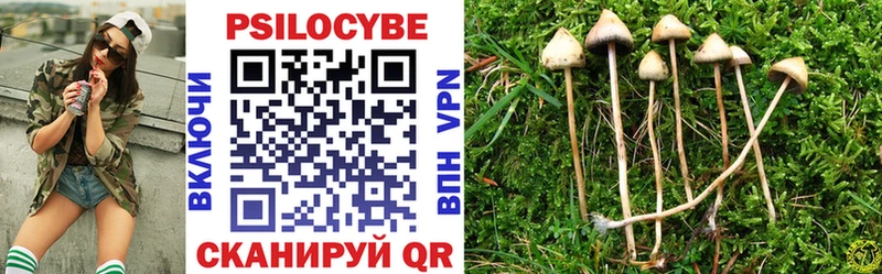 хочу   darknet как зайти  Псилоцибиновые грибы ЛСД  Нерчинск 
