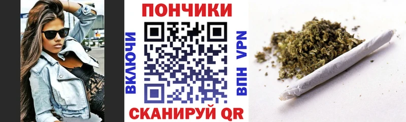 Каннабис сатива  нарко площадка официальный сайт  Нерчинск  hydra маркетплейс 